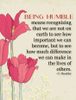 FB_IMG_1668695654834.jpg