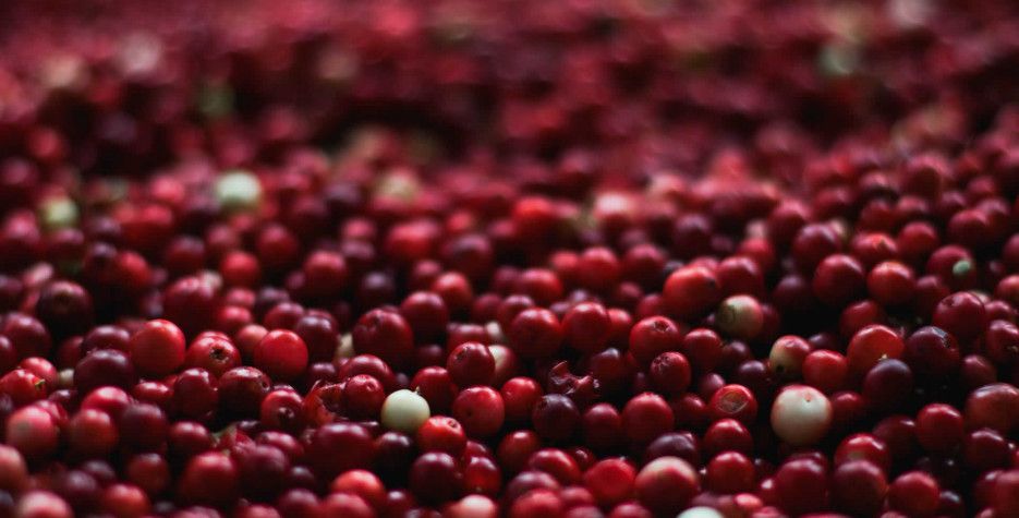 berries-1851161_1920.jpg