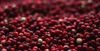 berries-1851161_1920.jpg