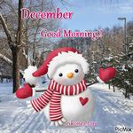 381139-December-Good-Morning.jpg