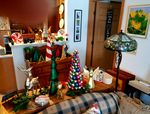 20201217_093156.jpg