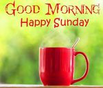 FB_IMG_1670158230167.jpg