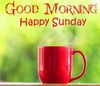 FB_IMG_1670158230167.jpg