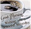 FB_IMG_1670682041052.jpg