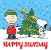 FB_IMG_1670770382085.jpg