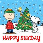 FB_IMG_1670770382085.jpg