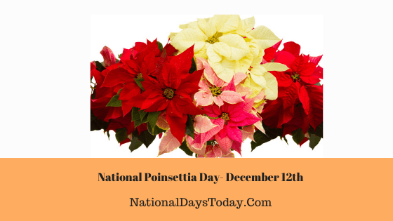 Poinsettia-Day.png