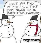 32c1a5fc8195bbb427f0edd433453002--christmas-snowman-christmas-humor.jpg