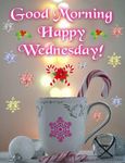 FB_IMG_1671635682957.jpg