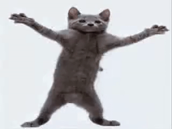 Happy cat dance!