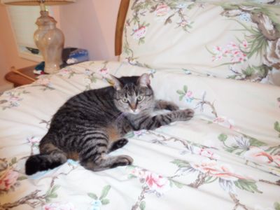 21-06-27 - Kinky in Bed - 2.JPG