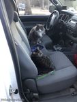 -- "Can I borrow the truck to take Mom on a quick jaunt?"