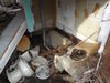 DSC03785.JPG