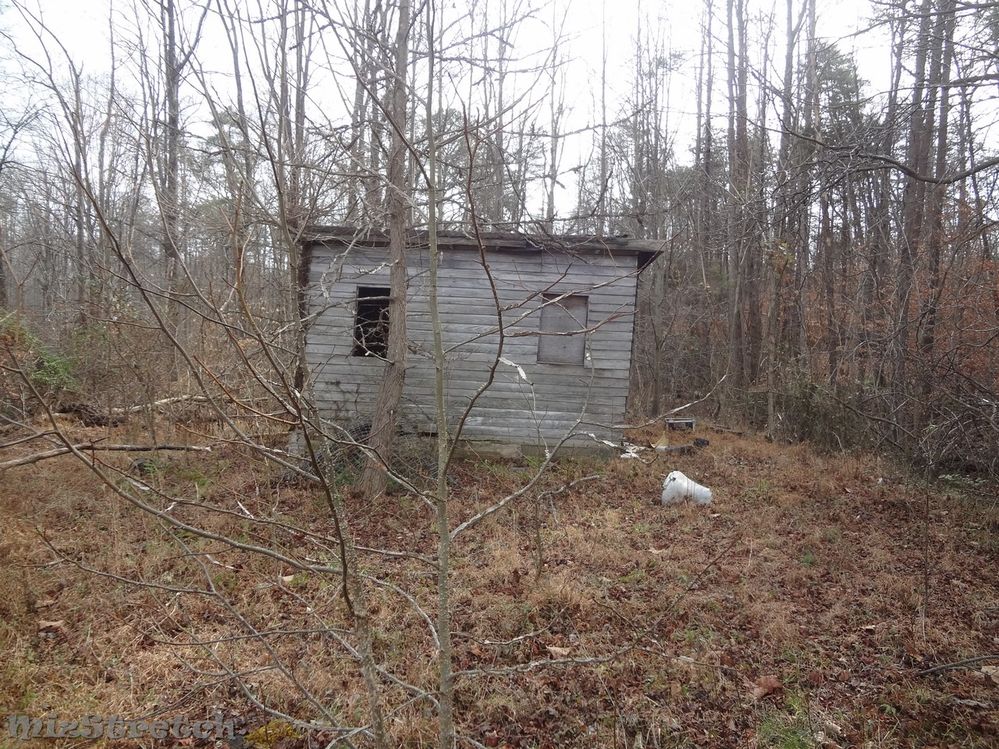 ----- Shed on back of property.  There was also an old camper, boat, dog houses.