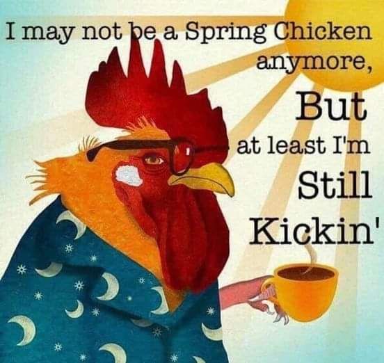 FB_IMG_1674238339797.jpg