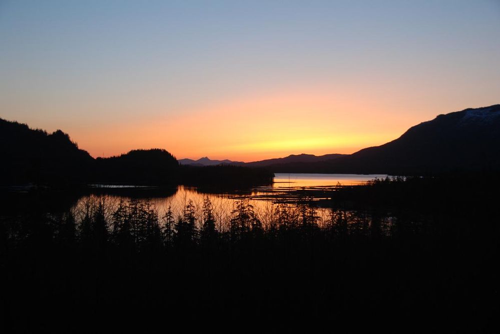 Our Tuesday Adventure 3 4 13 019.JPG