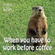Groundhog coffee.jpg