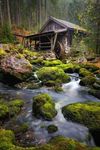 FB_IMG_1668474227844.jpg