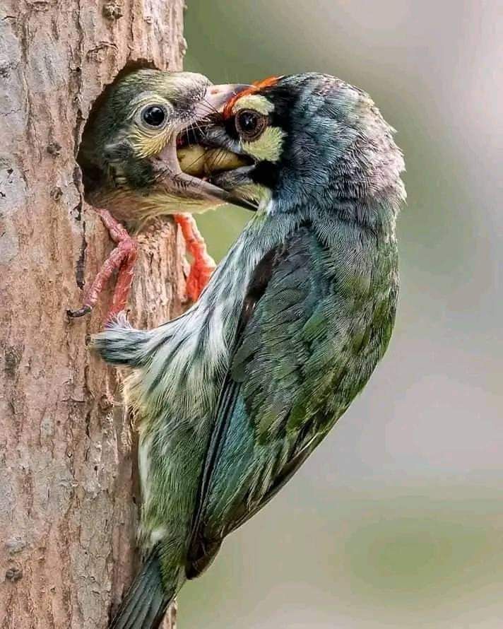 FB_IMG_1675543948395.jpg