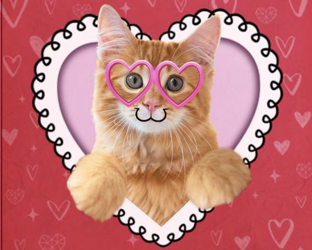 Valentine cat in glasses.jpg