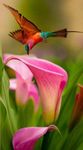 FB_IMG_1676510342853.jpg