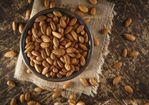 Almond-Day-3-1-1024x720.jpg
