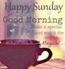FB_IMG_1676815062996.jpg