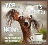 FB_IMG_1678113498706.jpg