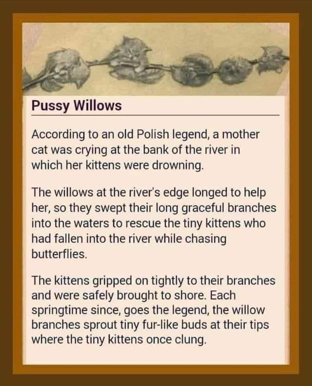 FB_IMG_1678497019409.jpg