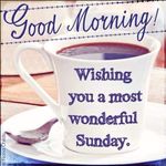 FB_IMG_1679231842087.jpg