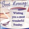 FB_IMG_1679231842087.jpg