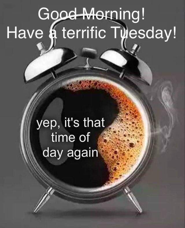 FB_IMG_1679404861312.jpg