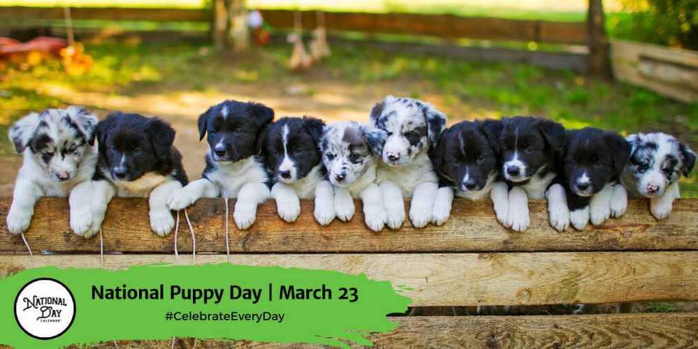 National-Puppy-Day-March-23.jpg