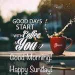 FB_IMG_1679826046166.jpg