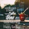 FB_IMG_1679826046166.jpg