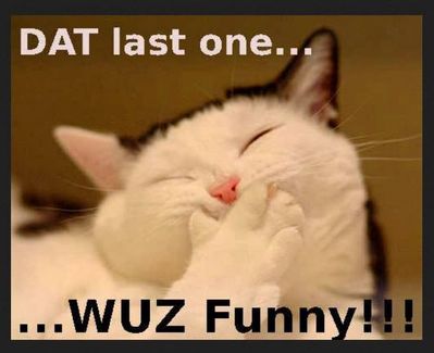 laughing cat.JPG