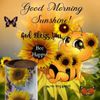 FB_IMG_1681135251297.jpg