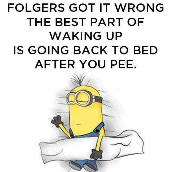 FB_IMG_1503091829722.jpg