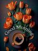 FB_IMG_1682279321941.jpg