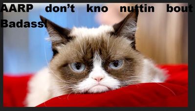 Grumpy Cat says.....AARP don’t kno nuttin bout Badass!