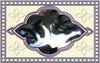 S-P snuggle.JPG