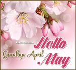 FB_IMG_1682949412213.jpg