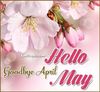 FB_IMG_1682949412213.jpg