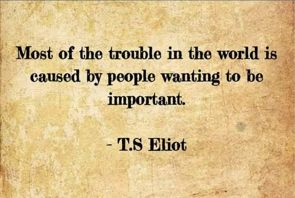 FB_IMG_1684342272461.jpg