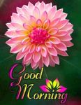 FB_IMG_1682795597815.jpg