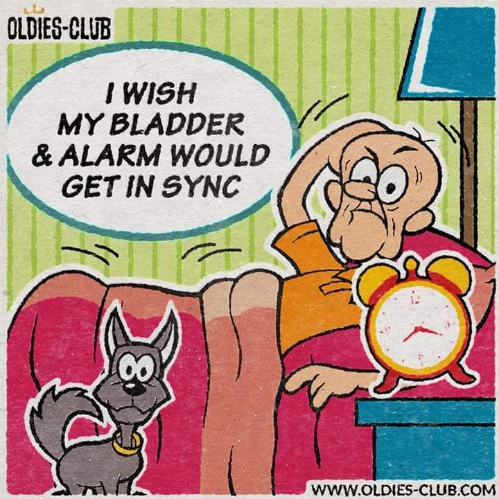 FB_IMG_1495575967298.jpg