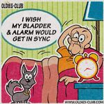 FB_IMG_1495575967298.jpg