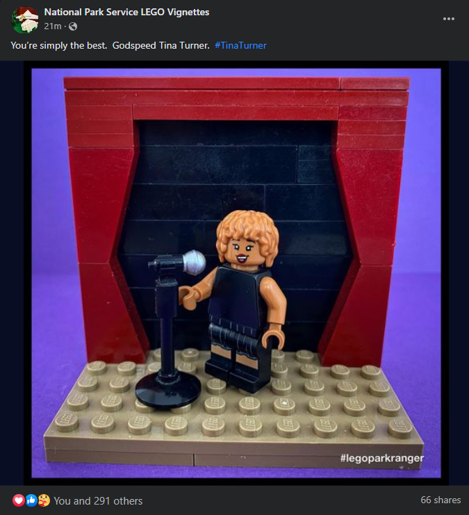 Lego post RE Tina Turner.png
