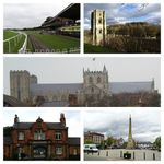 Ripon_2021_Collage.jpg