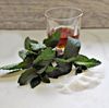 bourbon-mint-sugar.jpg